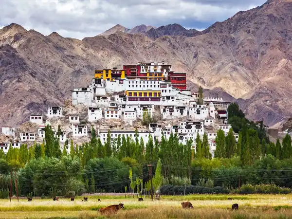Leh City & Beyond Package