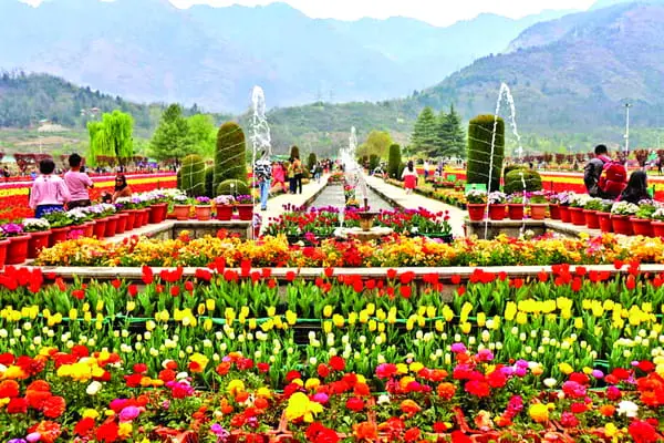 Best Kashmir Tour Package